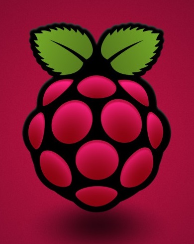 raspi icon