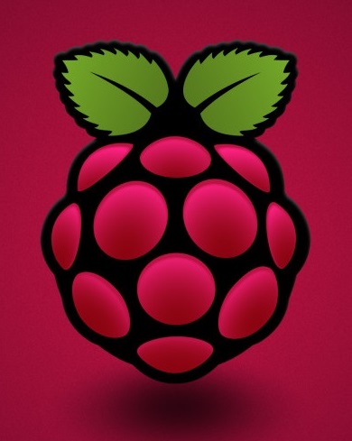 raspi icon